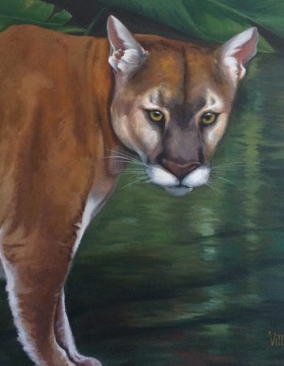 "Panther Looking" Acrylic on Canvas 50 x 50 Fine Art by Mabel Vittini