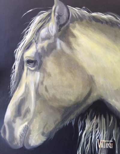 Horse Art by Mabel Vittini